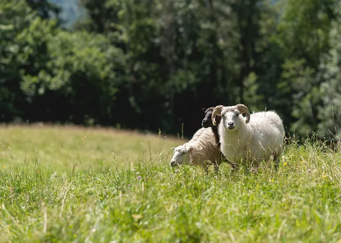 Bio-landhotel Moarwirt